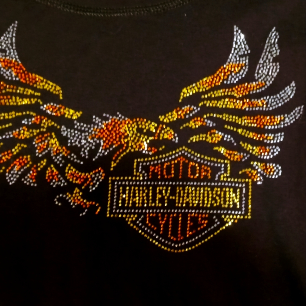 Harley Davidson long sleeve brown tshirt